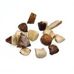 Borde Frozen Porcini Cubes 10x1kg