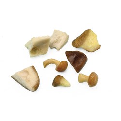 Borde Frozen Mushroom Mix 10x1kg