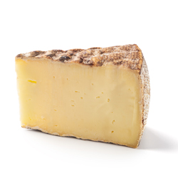 Pecorino