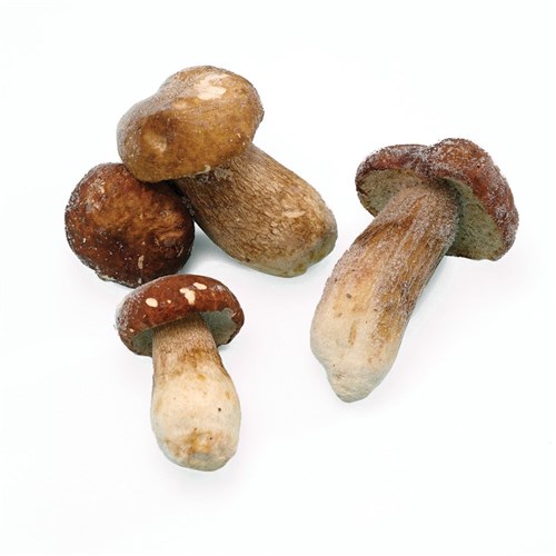 Borde Frozen Whole Porcini 4-6cm 10x1kg